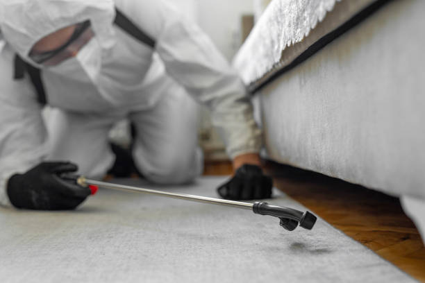 Professional Pest Control technician working in Harpersville, AL