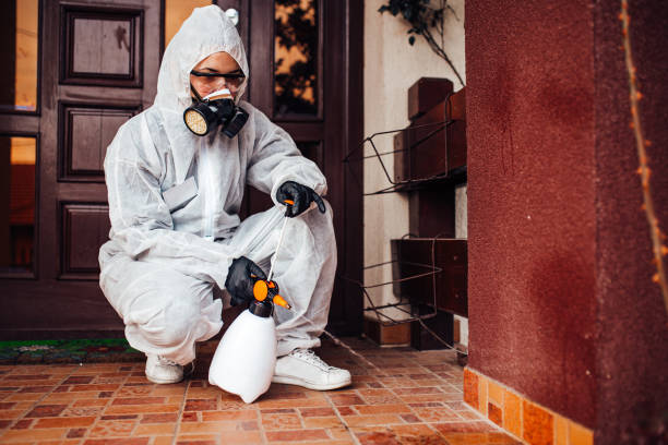 Reliable Emergency Pest Control contractor in Harpersville, AL by Nex Pest Control