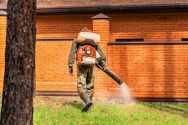 Trusted Cockroach Control service in Harpersville, AL - Nex Pest Control